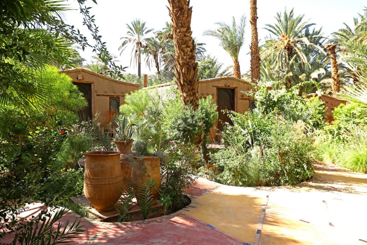 Ecolodge Bab El Oued Maroc Oasis Agdz Exterior photo