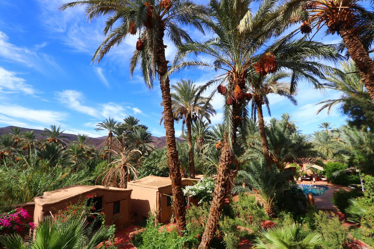 Ecolodge Bab El Oued Maroc Oasis Agdz Exterior photo