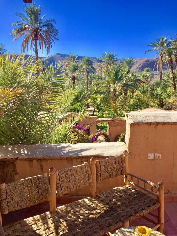 Ecolodge Bab El Oued Maroc Oasis Agdz Exterior photo